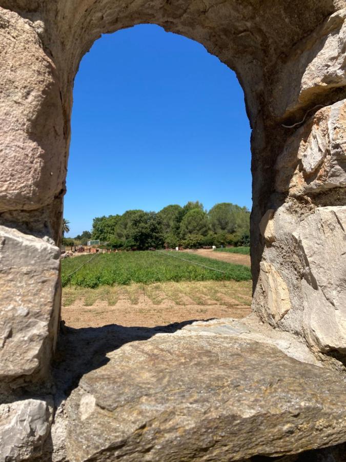 Gite Encore Un Soir Hyeres Bagian luar foto